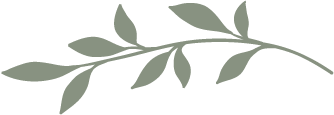 Asset 1Leaf3